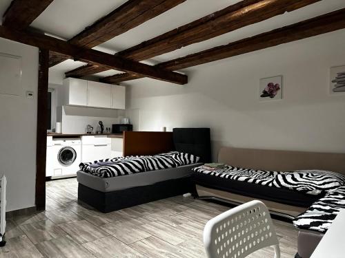 Nice studio in Pankow, Berlin (photo 10)