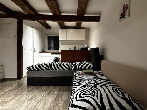 Nice studio in Pankow, Berlin (photo 7)