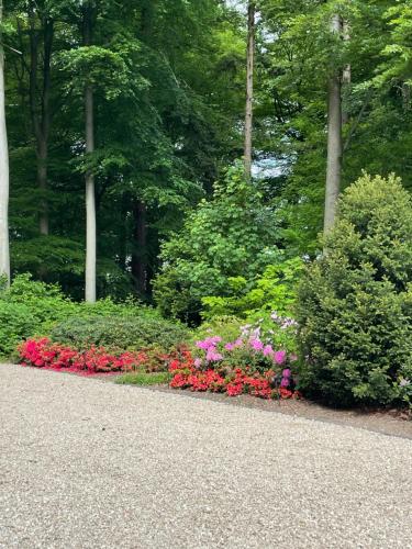 Villa Rozenhof - image 7