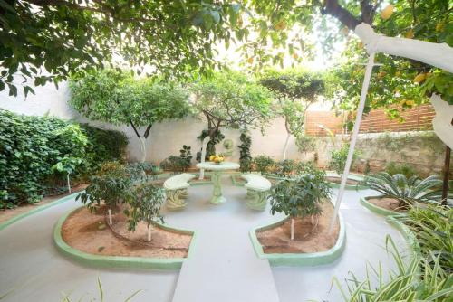 Penthouse Oasis, Atenas