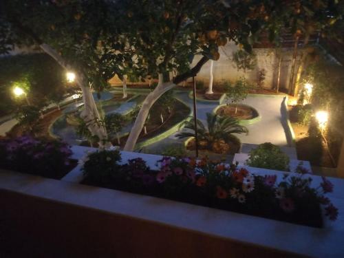 Penthouse Oasis, Atenas (foto 9)