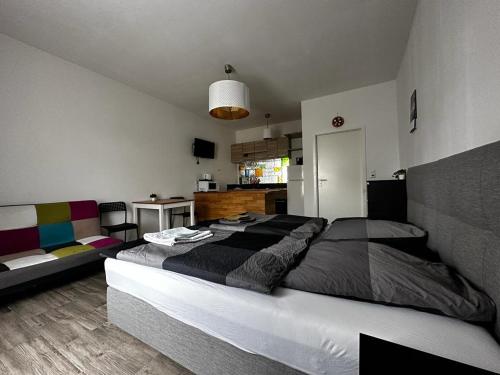 Nice and comfortable studio in Pankow, Berlin (photo 4)