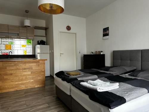 Nice and comfortable studio in Pankow, Berlin (photo 6)