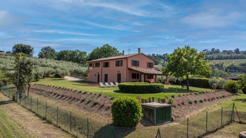 Scappo in Umbria,Vigne di Mevania