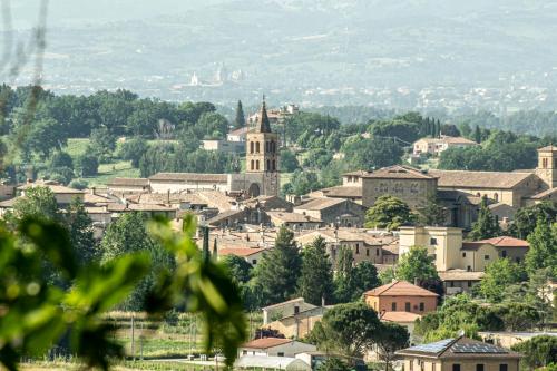 Scappo in Umbria,Mevania