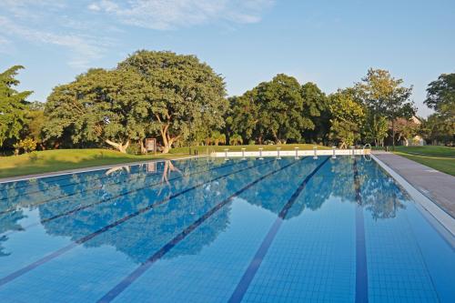 Piscina, Kupferquelle Resort in Tsumeb