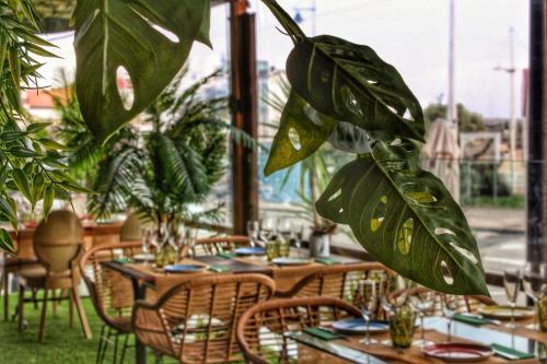 Hotel Spa El Muelle de Suances – Suances, MS