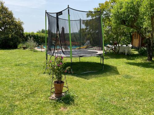 Les Petits Vingnes in Le Pontaroux