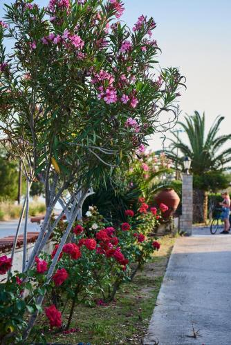 Kalloni Bay