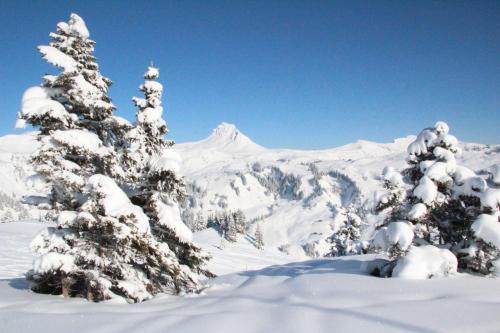 Apartment Magdalena in 貝曹
