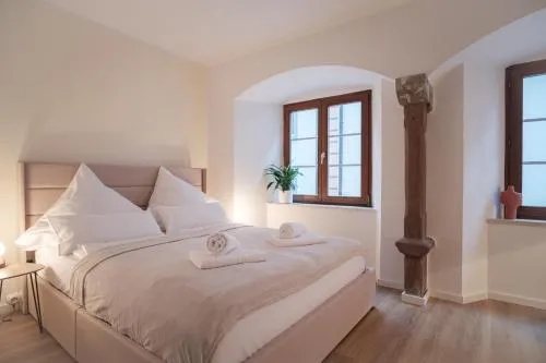 Neues Design-Apartment, Altstadt, Business&Ferien, Küche, Netflix in Bad Säckingen, Deutschland