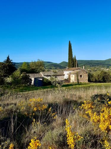 mas en pleine nature - Location saisonnière - La Roque-sur-Cèze