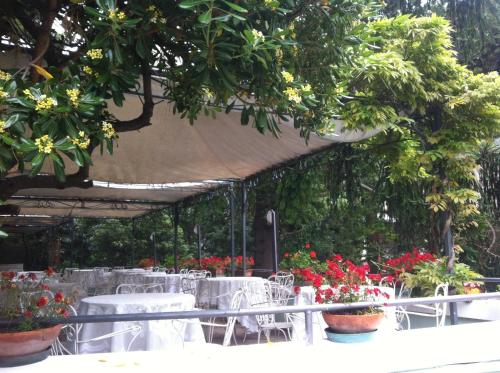 Hotel Pensione Moderna - image 11