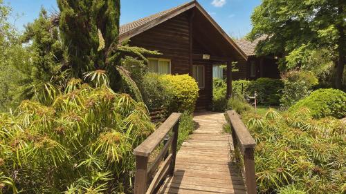 . נופי הבשן - חדרי אירוח מושלמים לזוגות ומשפחות בלהבות הבשן