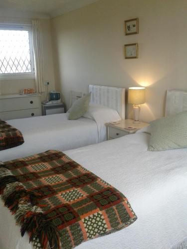 Groeslon Ty Mawr B & B - image 4