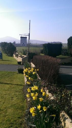 Groeslon Ty Mawr B & B - image 12