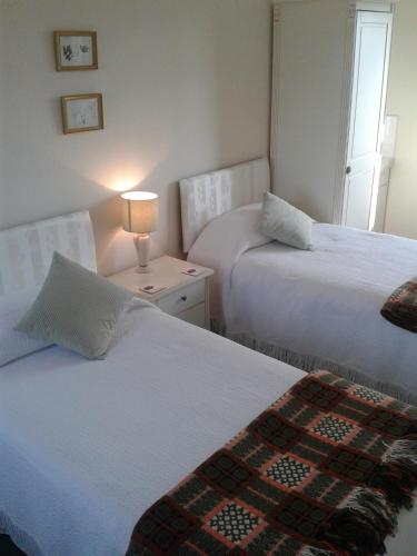 Groeslon Ty Mawr B & B - image 7