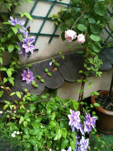 Les Serruriers - Appartement Spacieux avec Terrasse & Parking - image 10