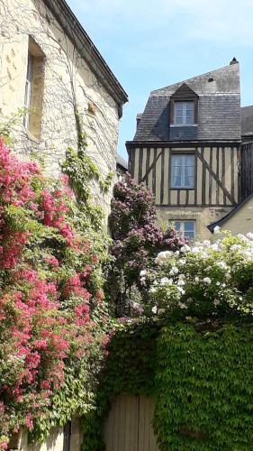 Petite Maison Romantique Coeur Historique Plantagenet, au calme