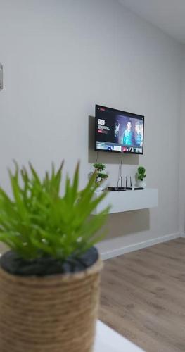 Tranquil Oasis for Two, Tirana (zdjęcie 8)