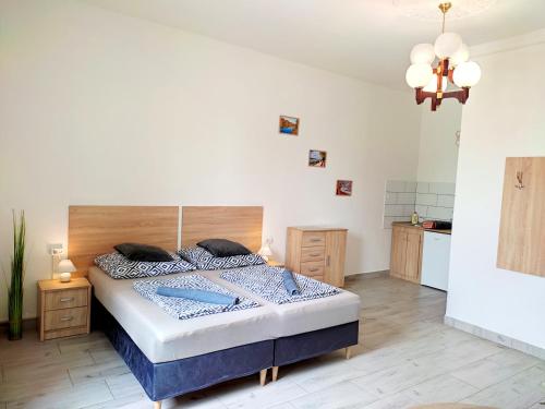 Panorama Apartman in Vac