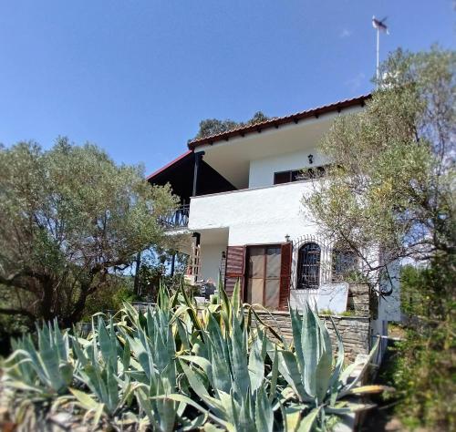 Mike's Seaside House
