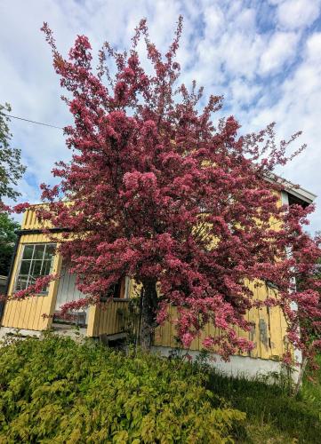 House near the University in Ås - Ski