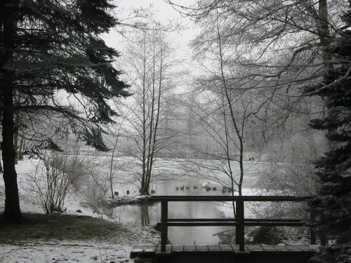 Hotel Wintersmuhle