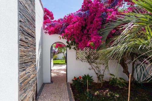 Garden, Deluxe 4BDR House W/ Pool by LovelyStay in Sao Sebastiao