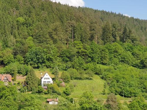 Ferienhaus Waldglück in Calw, Deutschland