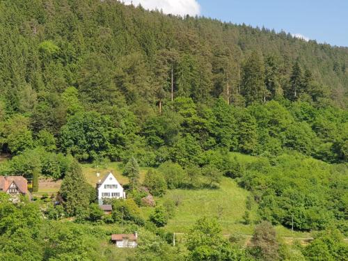 B&B Calw - Ferienhaus Waldglück - Bed and Breakfast Calw