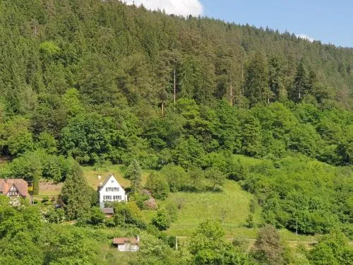 Ferienhaus Waldglück in Calw, Deutschland