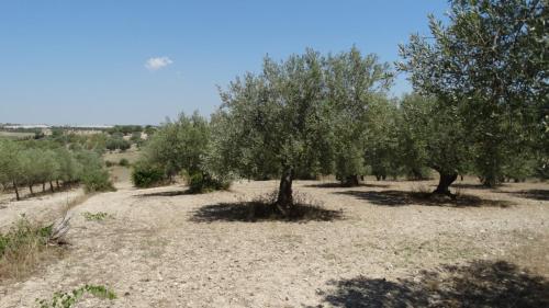 Casetta Rosa Dépandance vicino Noto