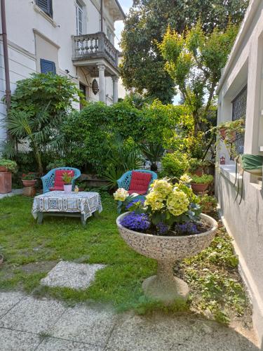 Chez Martha - image 5