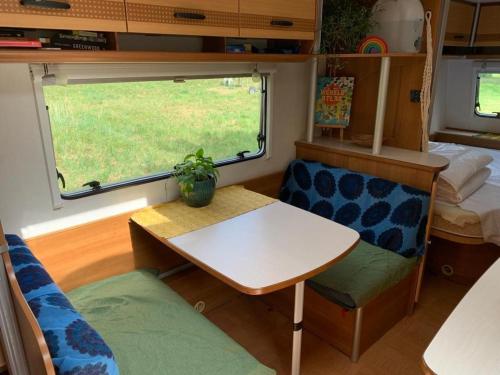  Caravan Duin Tuin in t Horntje