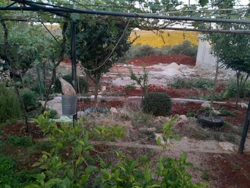 Garden, منزل ابو يوسف القضاه in Ajloun