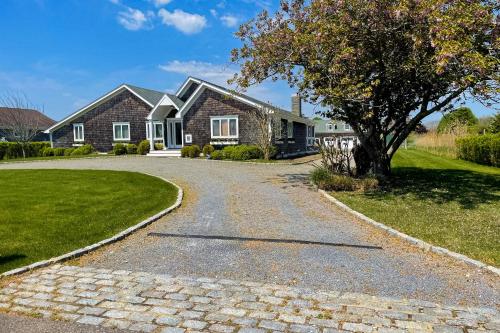 Meadow Beauty - Westhampton Beach