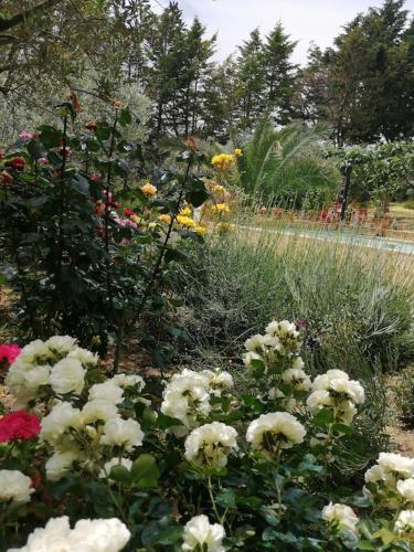  A Corner of Paradise in Mystical Umbria with private pool in Cannara