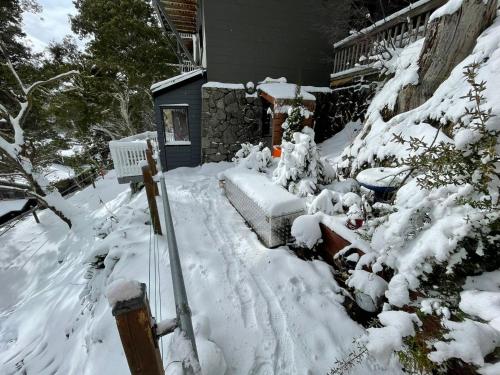 Value 1-Bedroom Apartment