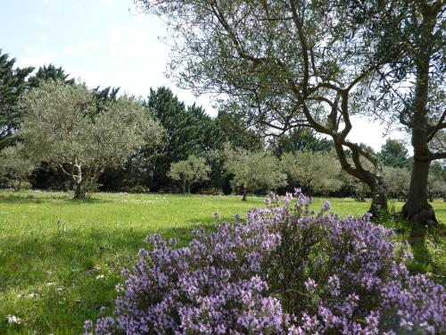 Les Mazets du Luberon