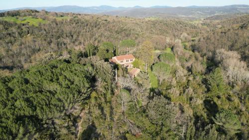  Casa Poggio Agliai basso in Suvereto
