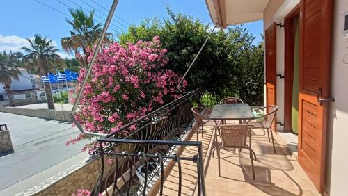 Pandesia Apartments 3