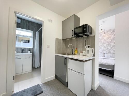 Cosy Bright Studio Apartment Close to Wembley Stadium 3