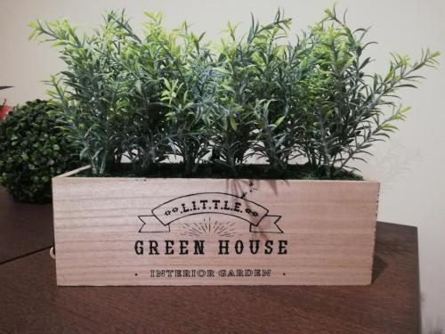  Green House in Aveiro