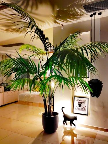 Libyan Princess - image 6