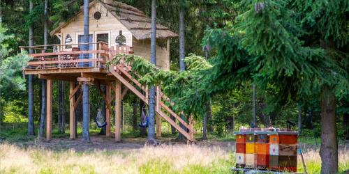 Treehouse U lesa - Hotel - Osečná