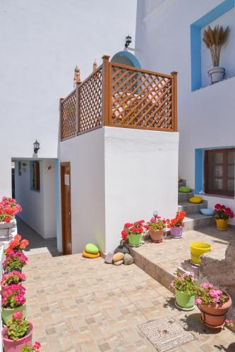 Exterior view of nikola's house