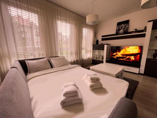 Elegant Escape Apartment I - City Centre & Free Parking, Братислава (фото 5)