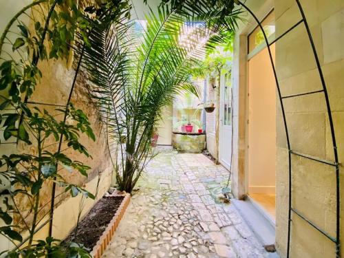 Le Logis des Templiers Vieux Port 2