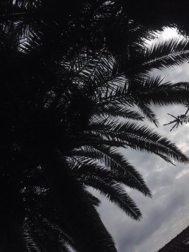 Apartments Boka Residence - image 11